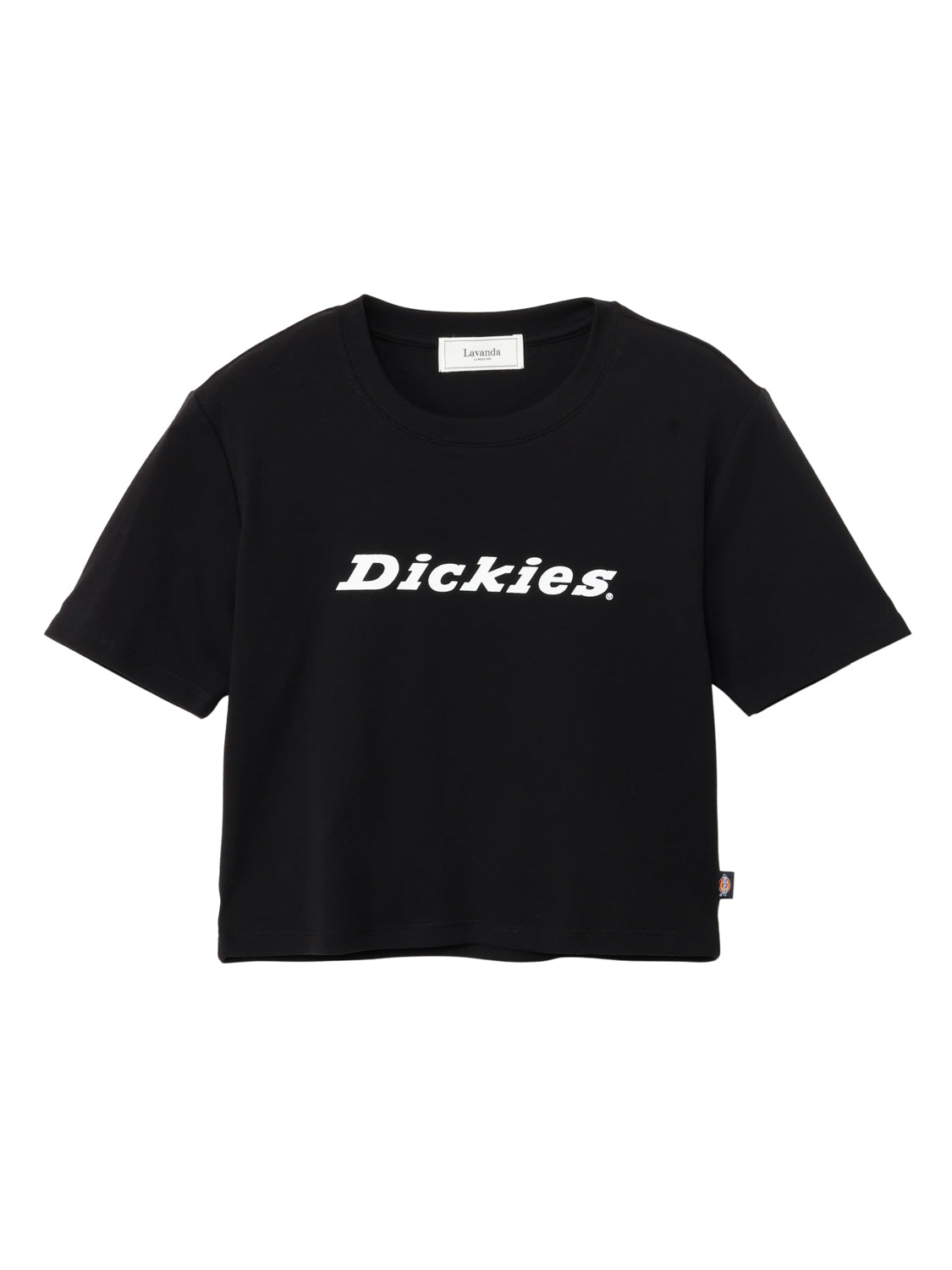 【Dickies®×LAVANDA】コンパクトリブTシャツ
