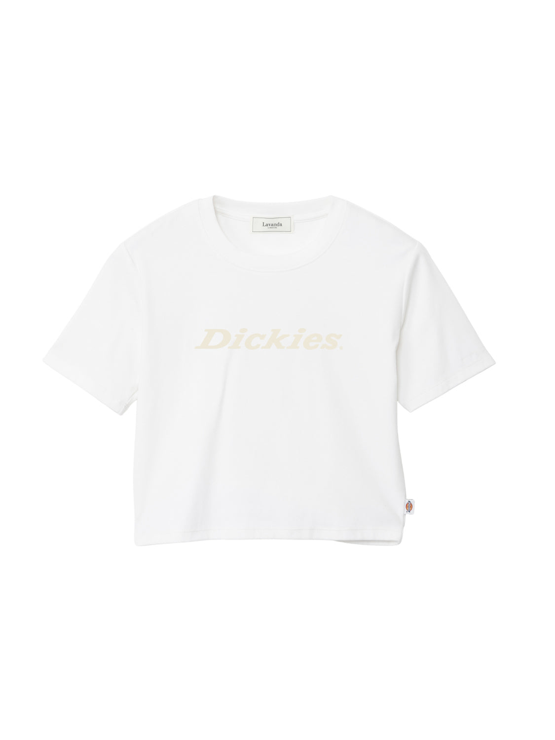 【Dickies®×LAVANDA】コンパクトリブTシャツ